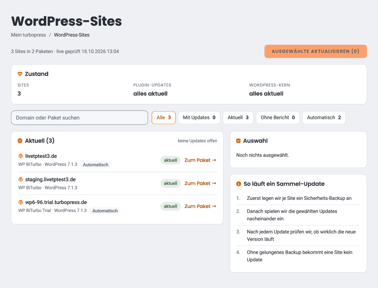 Seite „WordPress-Sites“ mit Suche, Filtern, zwei Site-Karten und der Karte „Auswahl“
